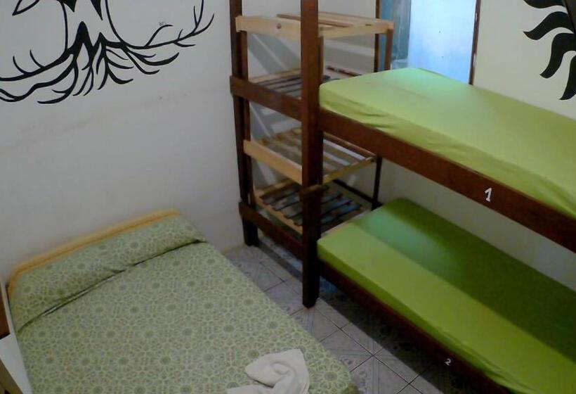 バスルーム共同エコノミー4人部屋, Hostel Freedive Inn