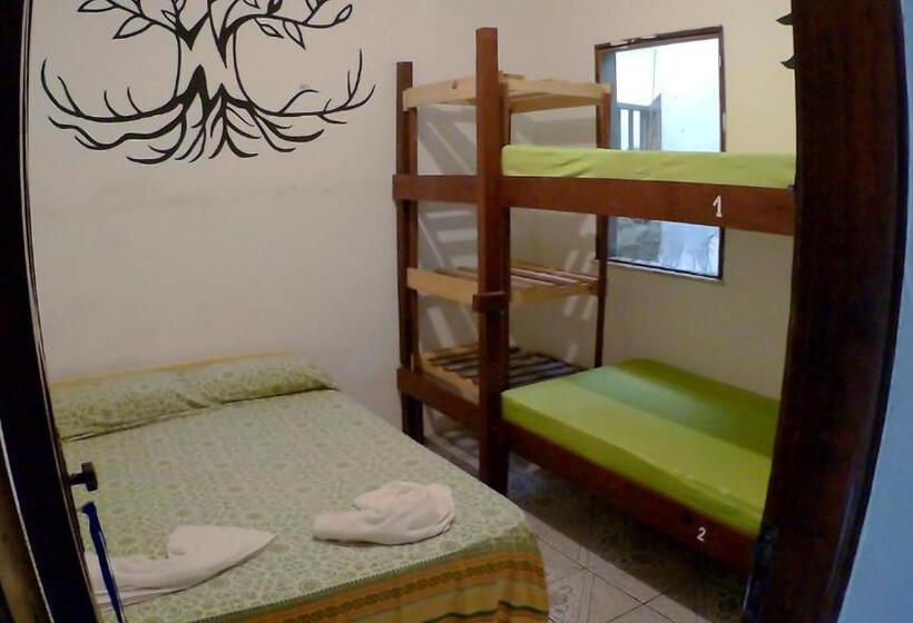 バスルーム共同エコノミー4人部屋, Hostel Freedive Inn