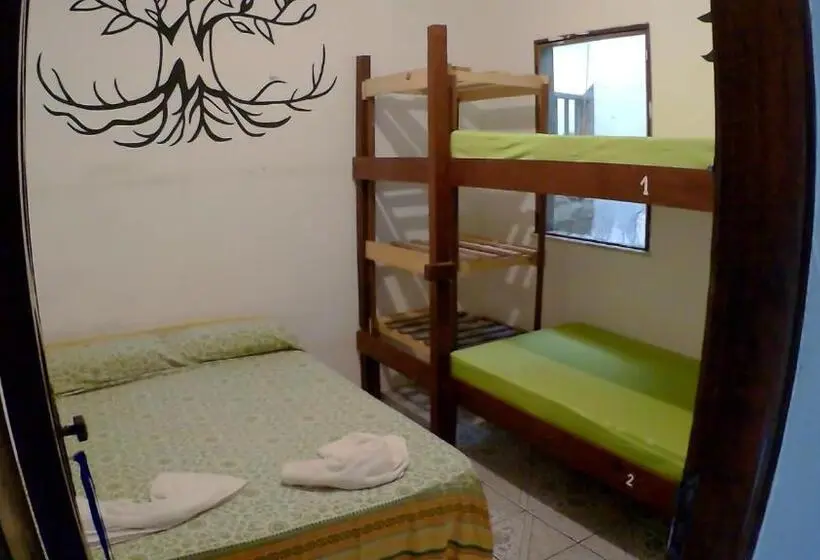 バスルーム共同エコノミー4人部屋, Hostel Freedive Inn