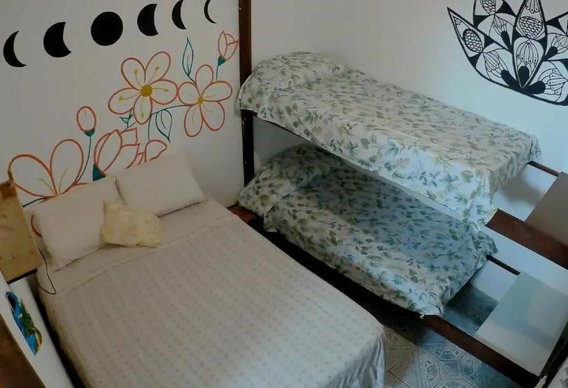 エコノミー4人部屋, Hostel Freedive Inn