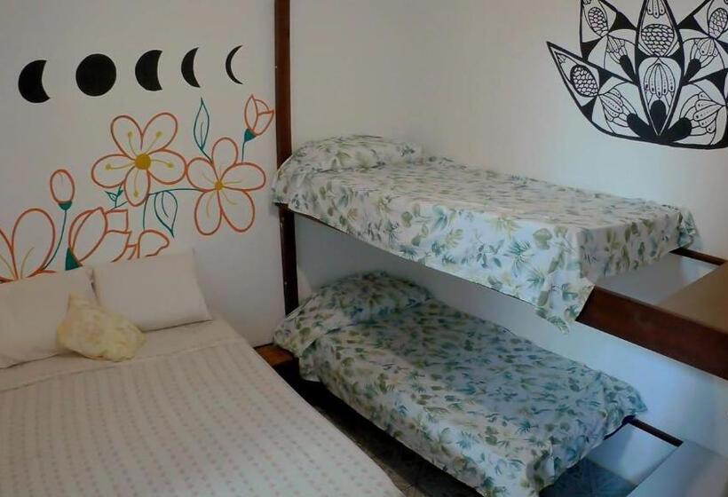 エコノミー4人部屋, Hostel Freedive Inn