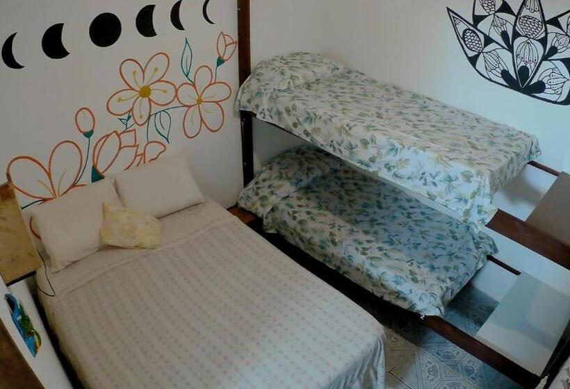 חדר אקונומי לארבעה, Hostel Freedive Inn