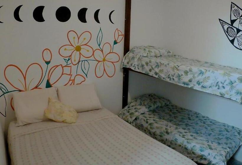 חדר אקונומי לארבעה, Hostel Freedive Inn