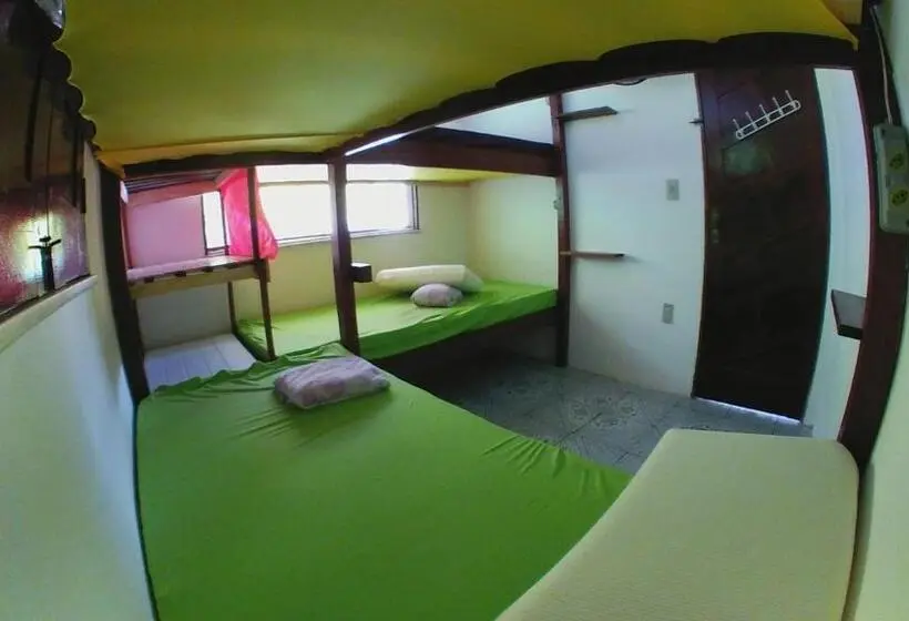 ルームシェアのワンベッド, Hostel Freedive Inn