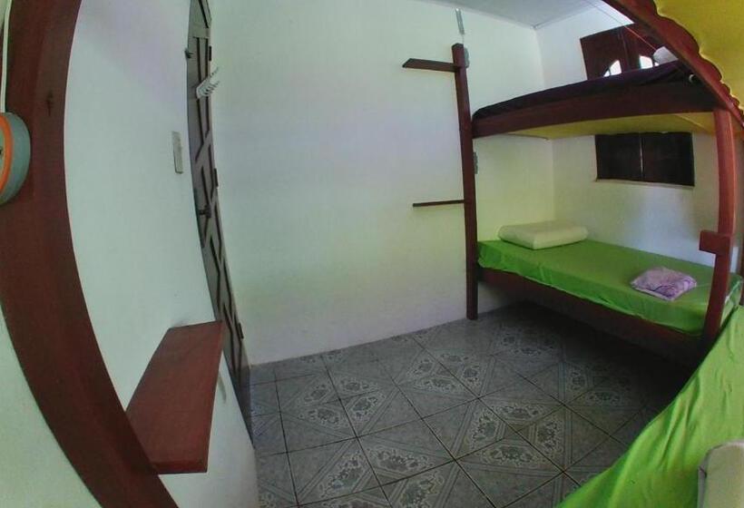 تختخواب در اتاق مشترک, Hostel Freedive Inn