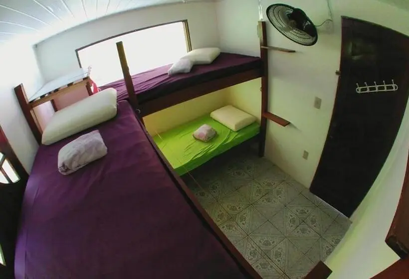 ルームシェアのワンベッド, Hostel Freedive Inn