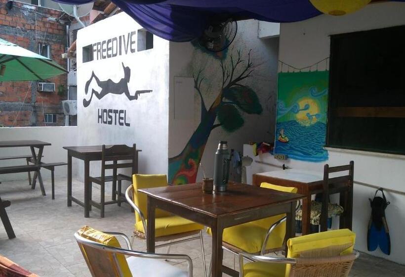 تختخواب در اتاق مشترک, Hostel Freedive Inn