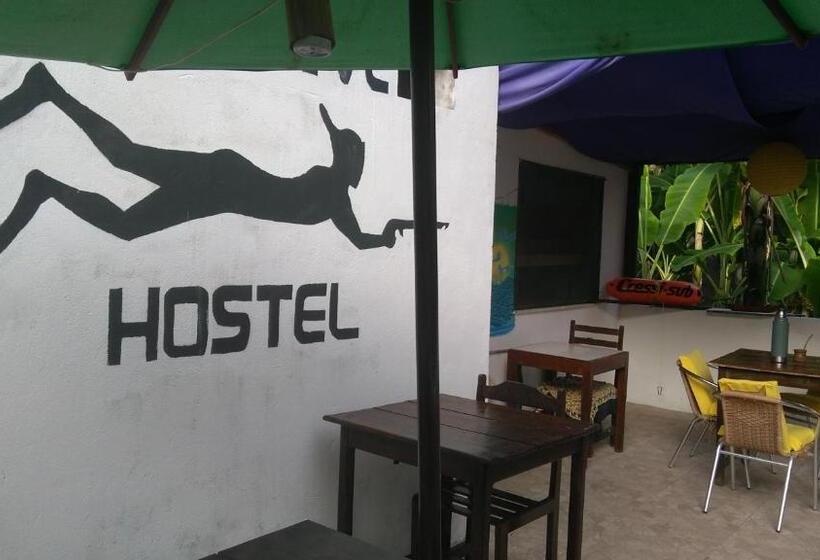 ルームシェアのワンベッド, Hostel Freedive Inn