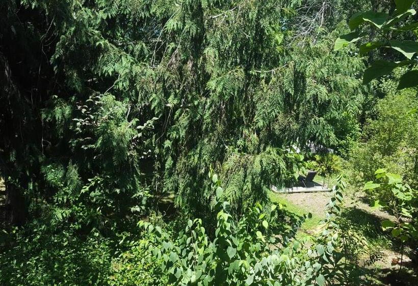 سوییت خانوادگی, El Rincon Eco
