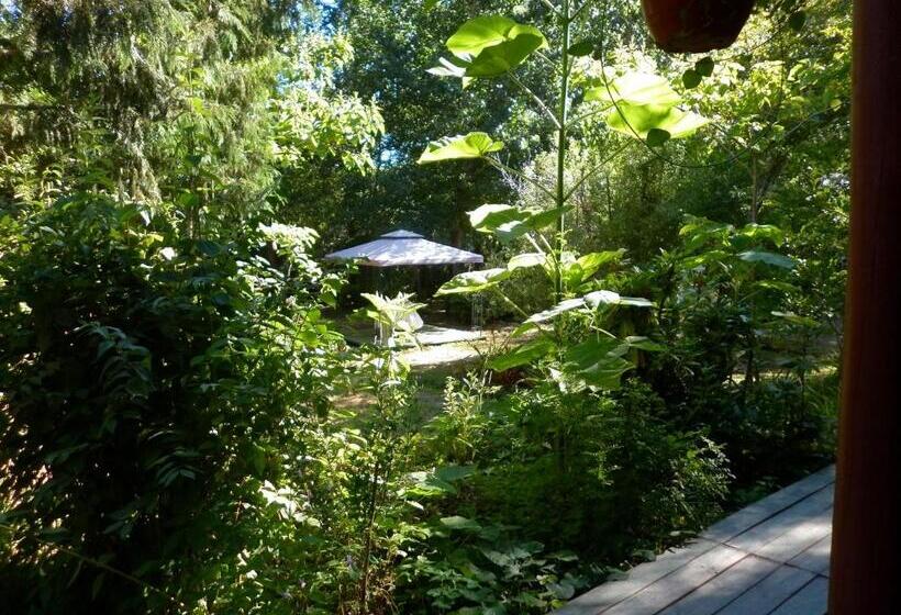 سوییت خانوادگی, El Rincon Eco