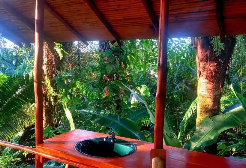 اتاق استاندارد با بالکن و چشم‌انداز دریا, Encanto Lodge