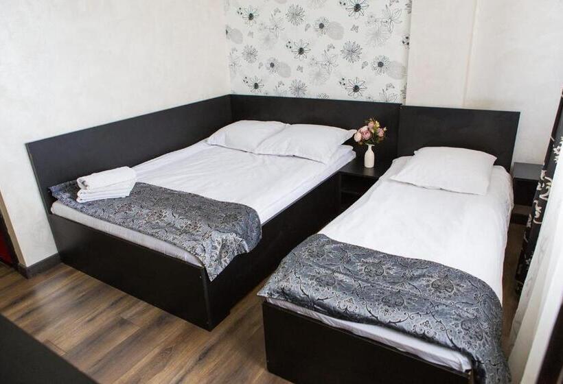 Номер Стандарт Трехместный, Pensiunea Alessia