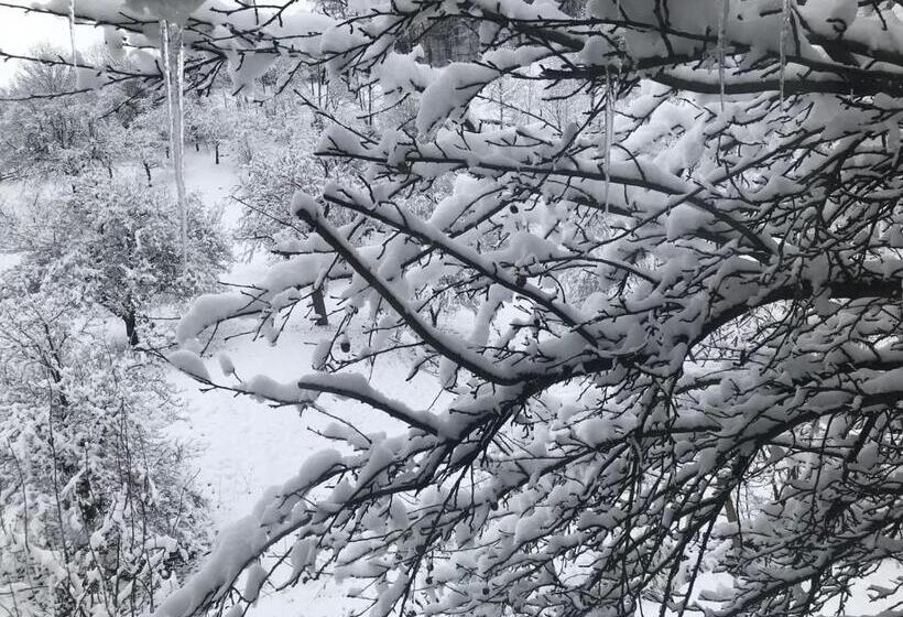 غرفة قياسية, Pensiunea Cerbul Carpatin