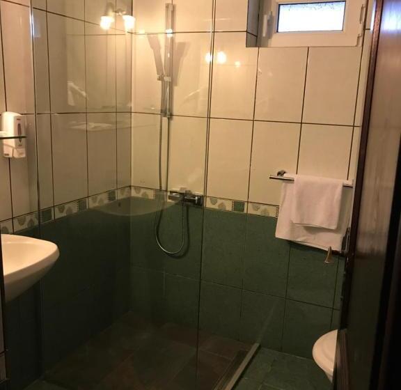 غرفة عائلية, Pensiunea Cerbul Carpatin