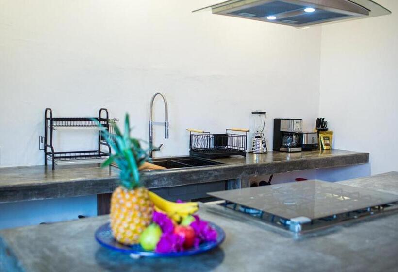 شقة غرفتين, Villa Celeste