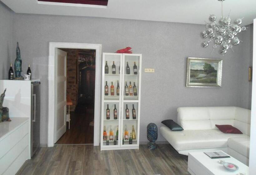 סוויטה דלוקס, Luxusni Apartmany Stodolni