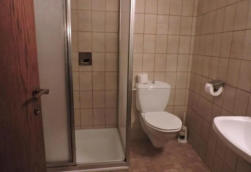 Standard Single Room, Pension Wallnöfer