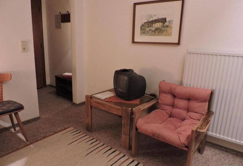 חדר סטנדרט יחיד, Pension Wallnöfer