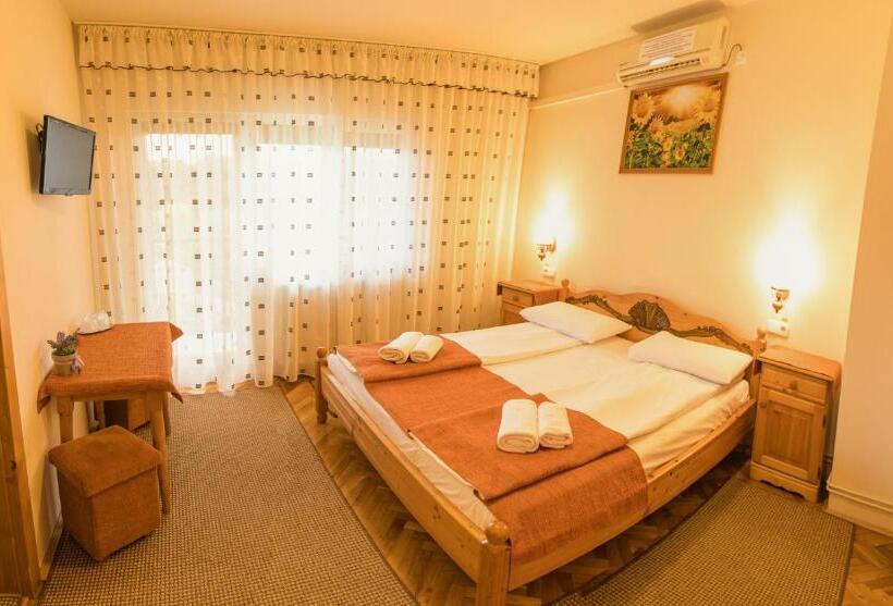 חדר סטנדרט, Pensiune Diana