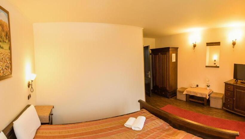 חדר סטנדרט, Pensiune Diana