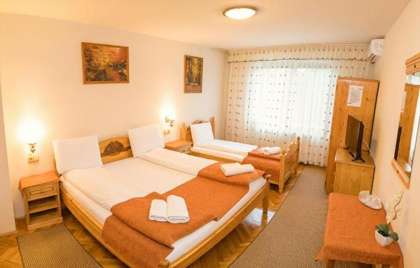 חדר סטנדרט לשלושה, Pensiune Diana