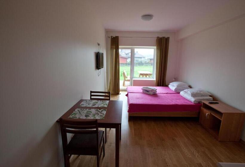 غرفة قياسية, Love Island 2