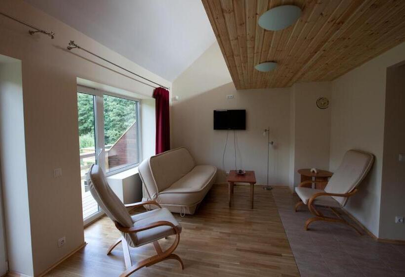 غرفة ديلوكس عائلية, Love Island 2