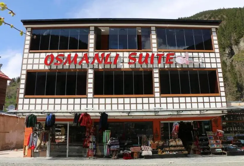 آپارتمان 1 خوابه با چشم‌انداز, Osmanlı Suite