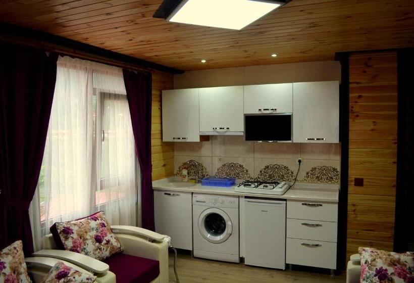 Апартаменты 2 Спальни, Osmanlı Suite