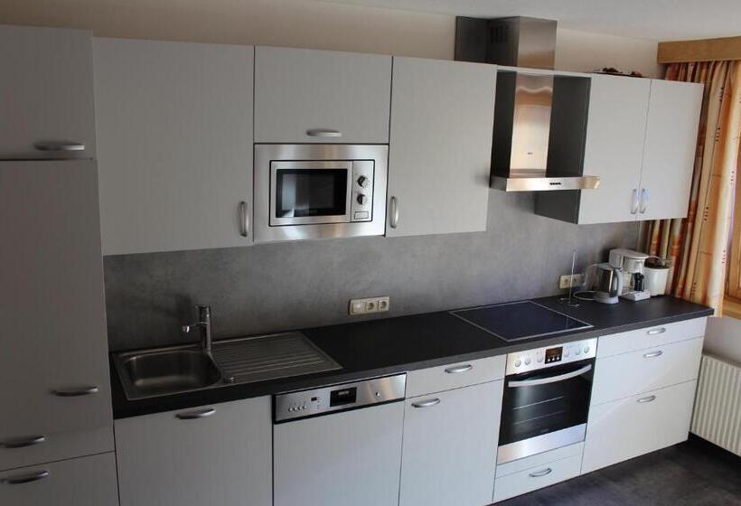 آپارتمان 2 خوابه با بالکن, Haus Birgit