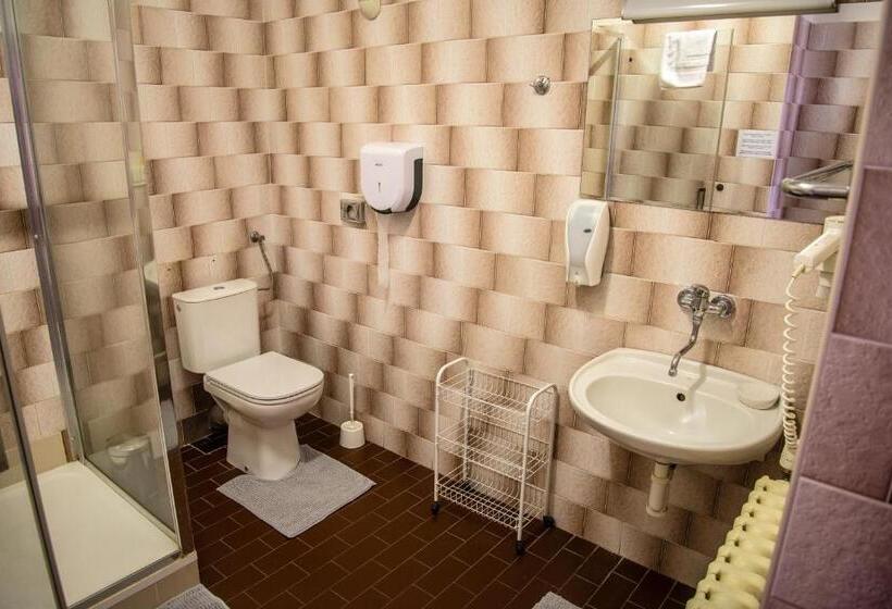 标准三人间, U Dómu Sv. Václava