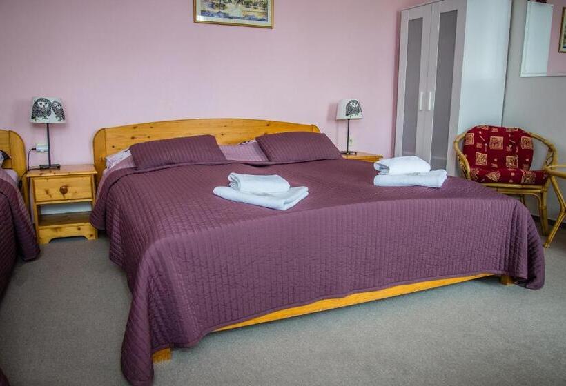 标准三人间, U Dómu Sv. Václava