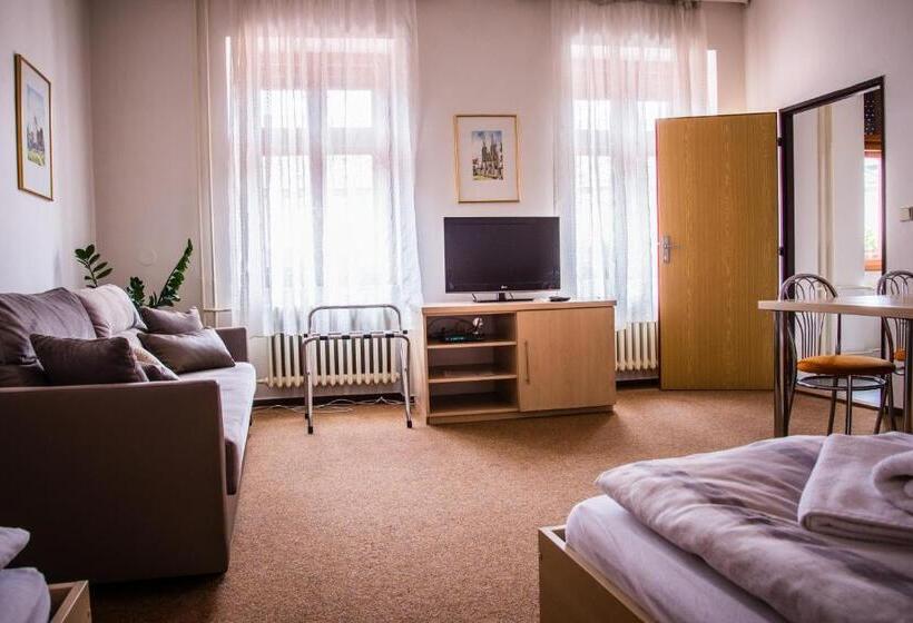 اتاق استاندارد چهار تخته, U Dómu Sv. Václava
