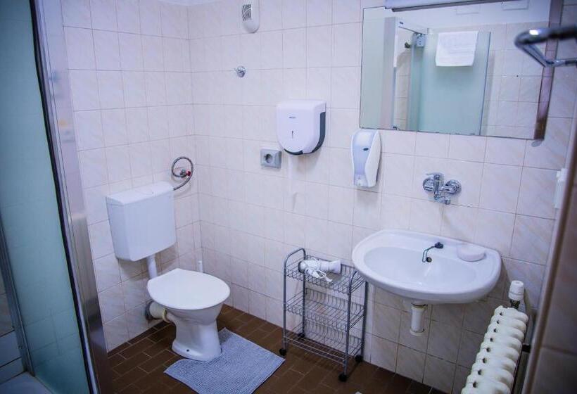 标准单人间, U Dómu Sv. Václava