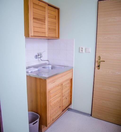 标准单人间, U Dómu Sv. Václava