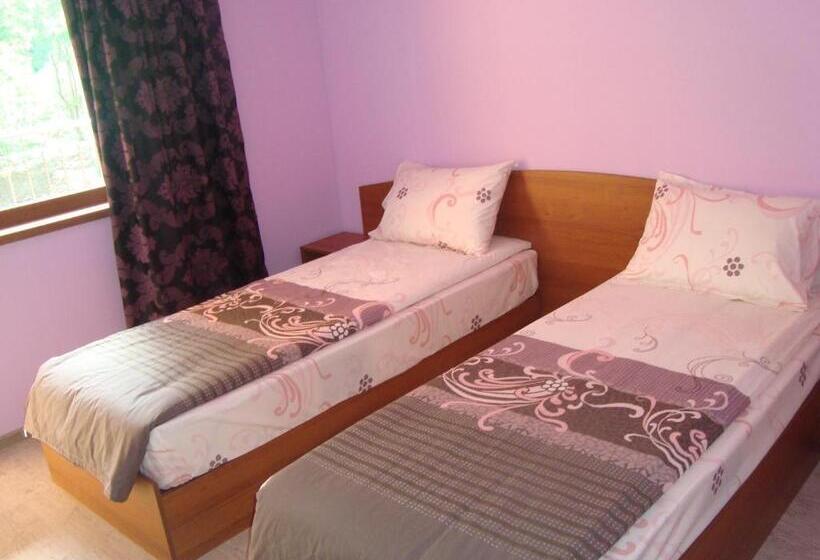 ガーデンビュースタンダードルーム, Villa Mari Guest Rooms