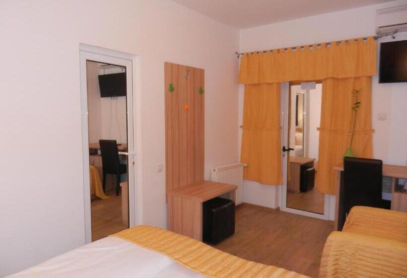 Номер Стандарт Индивидуальный, Pensiunea Sergiu & Geanina