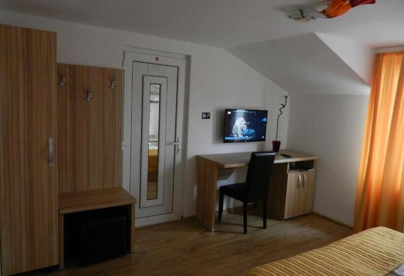 Номер Стандарт Индивидуальный, Pensiunea Sergiu & Geanina