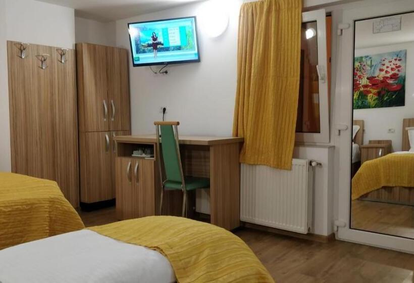 Номер Стандарт Трехместный, Pensiunea Sergiu & Geanina