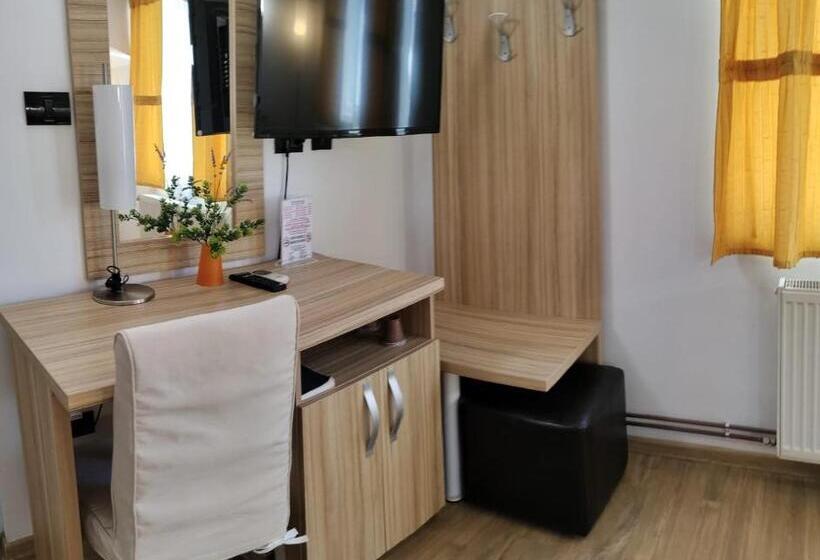 Номер Стандарт Индивидуальный, Pensiunea Sergiu & Geanina