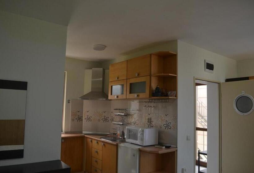 带海景的标准工作室, Seagarden Villa Resort