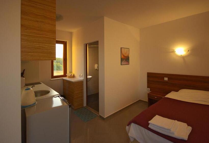 带海景的标准工作室, Seagarden Villa Resort