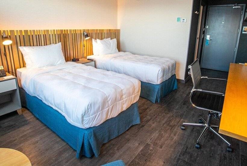 غرفة قياسية لذوى الاحتياجات الخاصة, Hampton By Hilton Bariloche