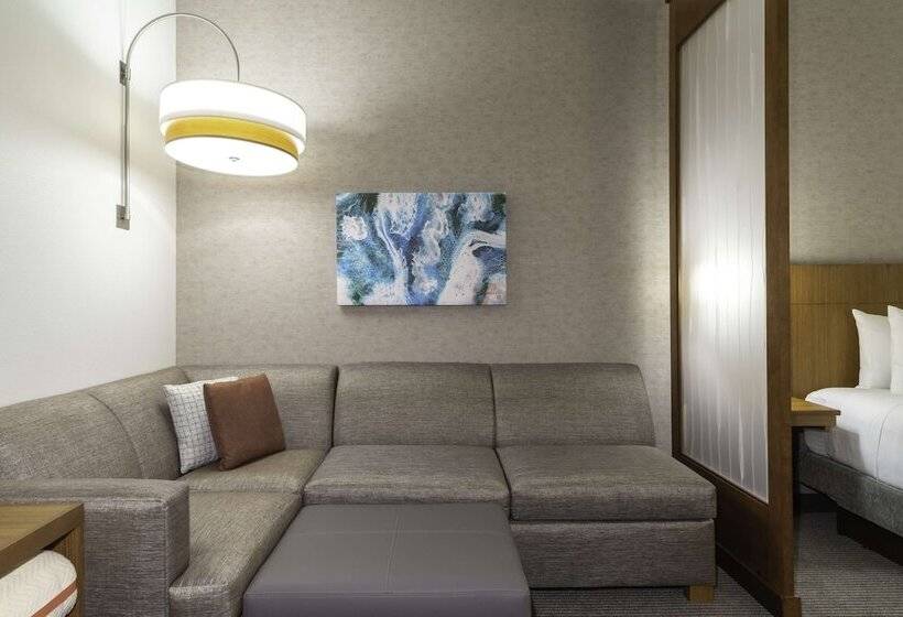 高级寓所标准房间, Hyatt Place Sandestin At Grand Blvd