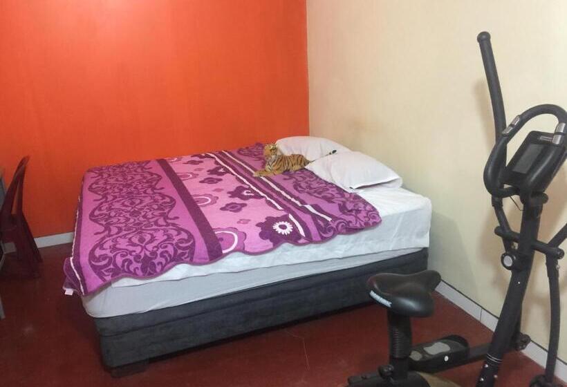 اتاق استاندارد چهارنفره با سرویس بهداشتی مشترک, Hospedaje El Viajero Aeropuerto