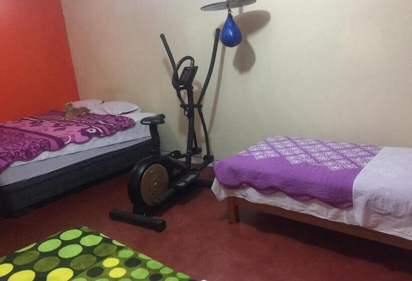 اتاق استاندارد چهارنفره با سرویس بهداشتی مشترک, Hospedaje El Viajero Aeropuerto