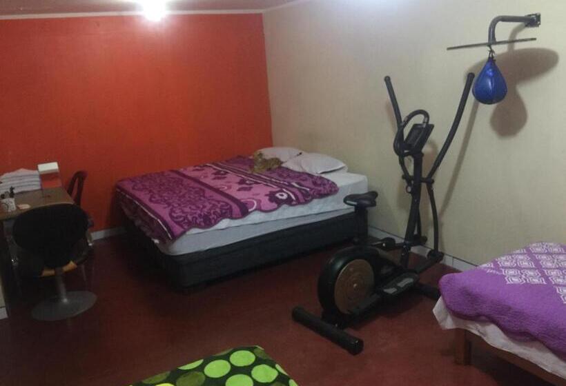 اتاق استاندارد چهارنفره با سرویس بهداشتی مشترک, Hospedaje El Viajero Aeropuerto