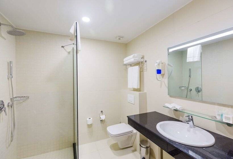 اتاق استاندارد با تخت دوبل, Best Western Premier Batumi