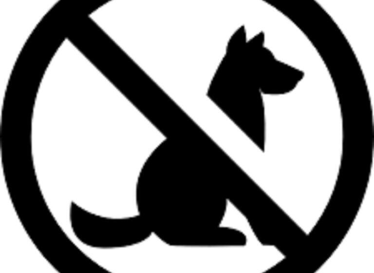 דירת חדר, Residenz Hopfensee