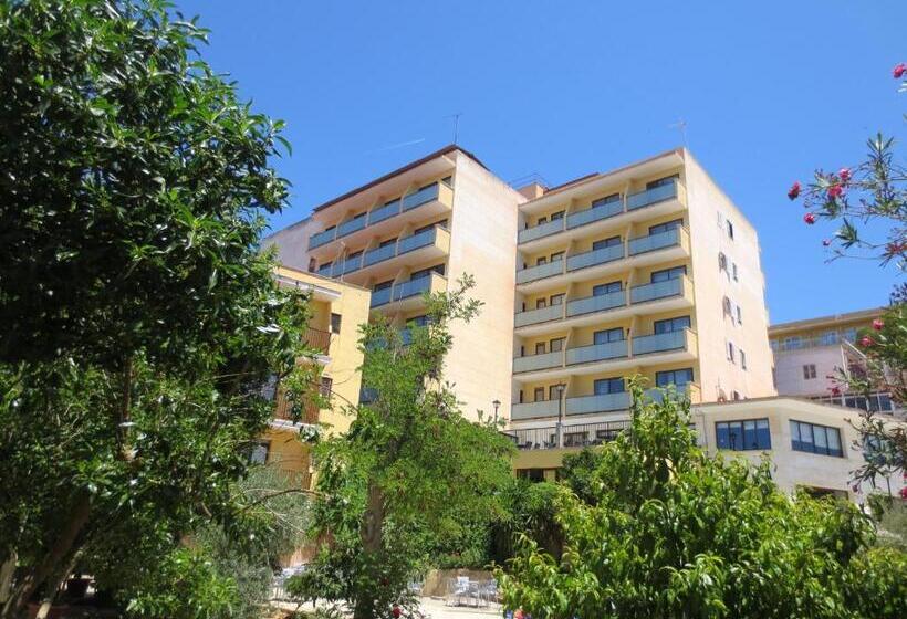 标准单人间, Amazonas